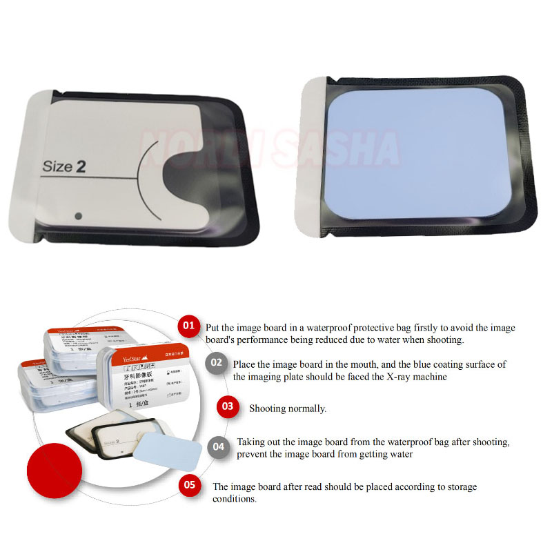 Medical X - 1Pcs Dental Phosphor Image Plate IP